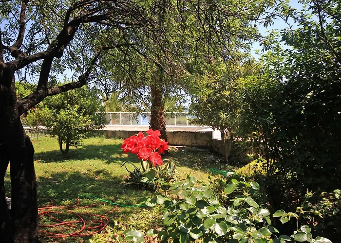 Seaside Luxury With A Swimming Pool Orebic, Peljesac - 4520