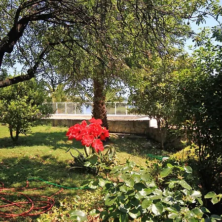 Seaside Luxury With A Swimming Pool Orebic, Peljesac - 4520